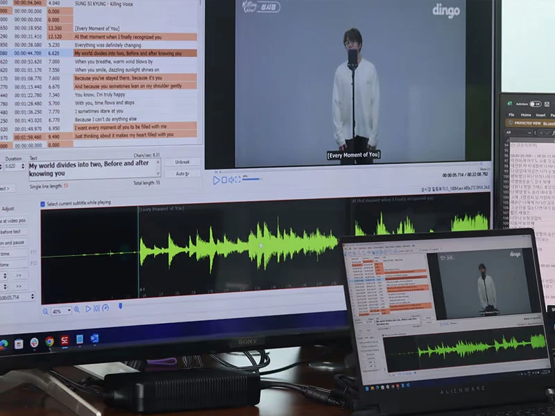 Arcadian enters Subtitling and Translation Business