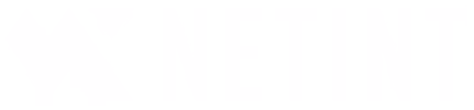 NETINT