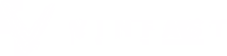 VinFast
